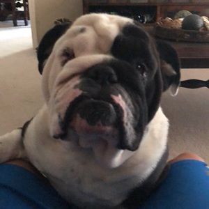 Meet your Posher, Roberto